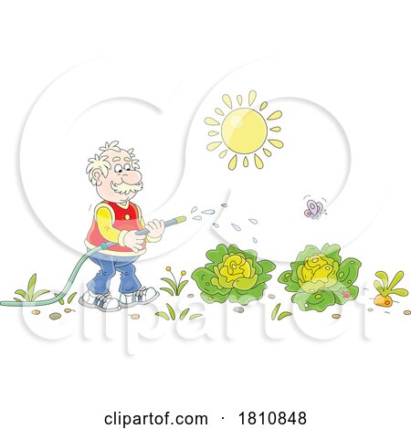 Cartoon Clipart Grandpa Watering a Vegetable Garden by Alex Bannykh