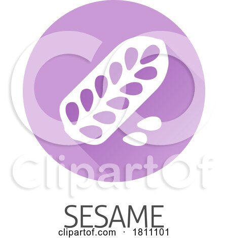Sesame Seed Capsule Pod Food Allergen Icon Concept by AtStockIllustration