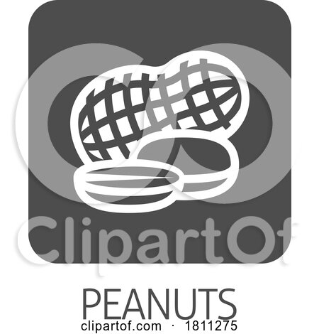 Peanut Nut Food Allergy Icon Concept by AtStockIllustration