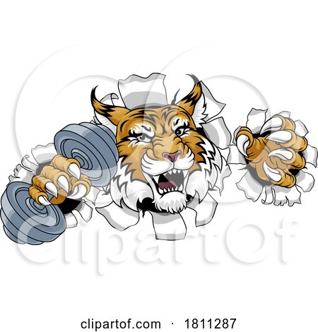 Wildcat Cougar Lynx Lion Weight Lifting Gym Mascot by AtStockIllustration