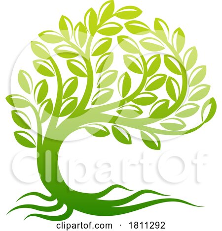 Green Tree by AtStockIllustration