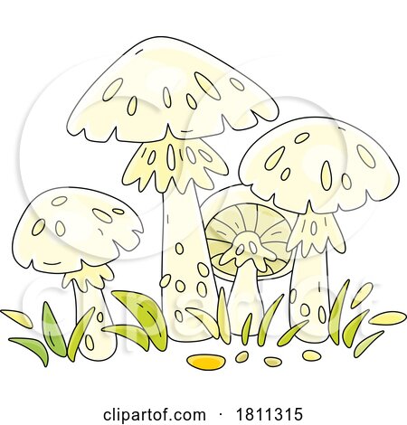 Licensed Clipart Cartoon Death Cap Mushrooms by Alex Bannykh