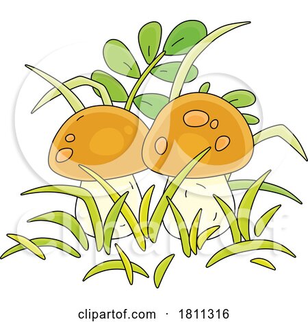 Licensed Clipart Cartoon Yellow Boletus Mushrooms by Alex Bannykh