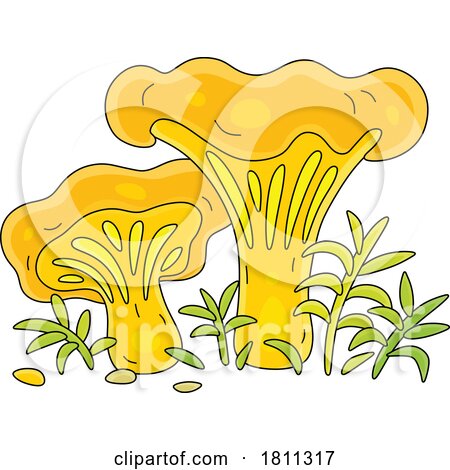 Licensed Clipart Cartoon Chanterelle Mushrooms by Alex Bannykh