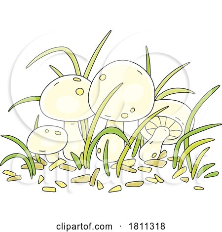 Licensed Clipart Cartoon Champignon Mushrooms by Alex Bannykh