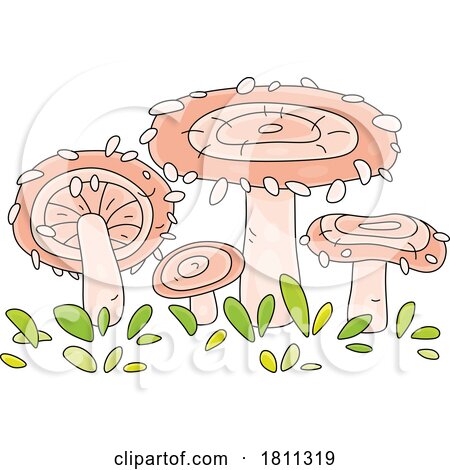 Licensed Clipart Cartoon Coral Milky Cap Mushrooms by Alex Bannykh