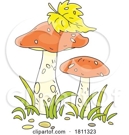 Licensed Clipart Cartoon Orange Cap Boletus Mushrooms by Alex Bannykh
