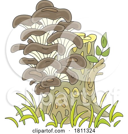 Licensed Clipart Cartoon Oyster Mushrooms by Alex Bannykh