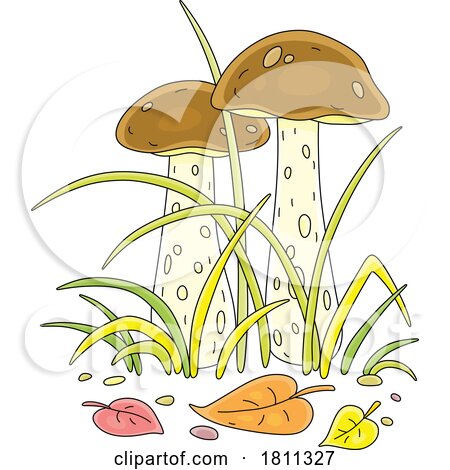 Licensed Clipart Cartoon Brown Cap Boletus Mushrooms by Alex Bannykh