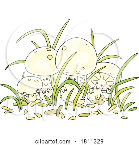 Licensed Clipart Cartoon Champignon Mushroom Characters by Alex Bannykh