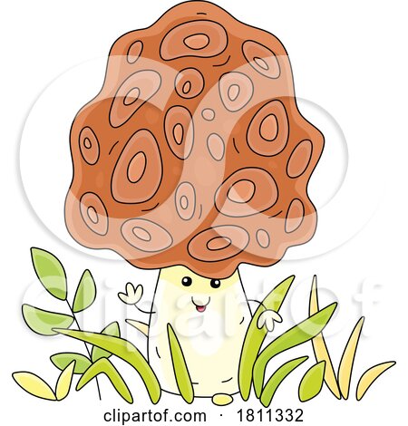Licensed Clipart Cartoon Morel Mushroom Character by Alex Bannykh