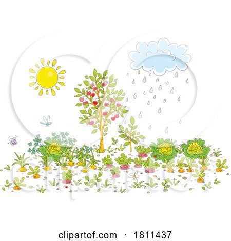 Licensed Clipart Cartoon Sun Rain Cloud and Garden by Alex Bannykh