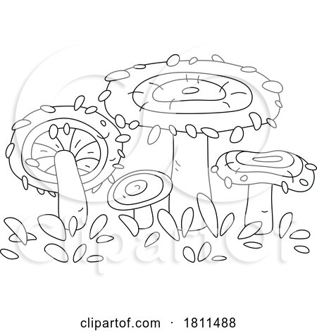 Licensed Clipart Cartoon Coral Milky Cap Mushrooms by Alex Bannykh