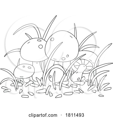 Licensed Clipart Cartoon Champignon Mushrooms by Alex Bannykh
