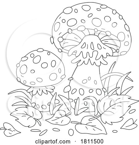 Licensed Clipart Cartoon Fly Agaric Mushrooms by Alex Bannykh