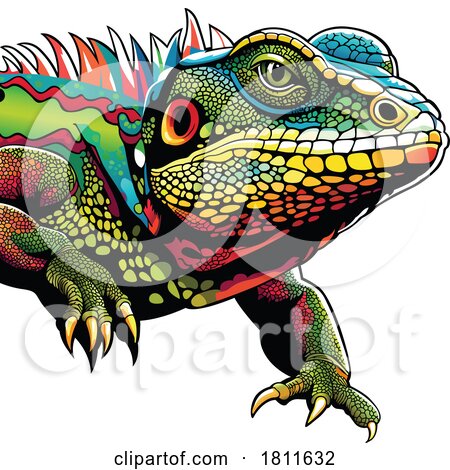 Colorful Iguana by dero