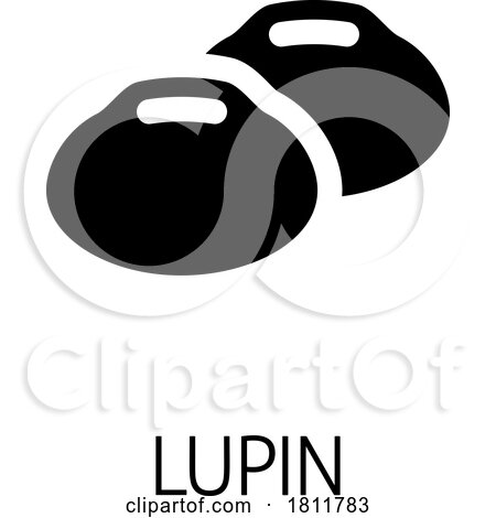 Lupin Bean Legume Food Icon Concept by AtStockIllustration