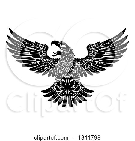 Eagle by AtStockIllustration