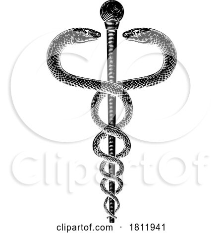 Caduceus Vintage Doctor Medical Snakes Symbol by AtStockIllustration