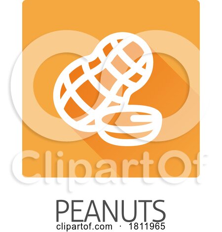 Peanut Nut Food Allergy Icon Concept by AtStockIllustration