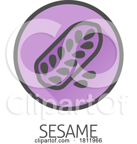 Sesame Seed Capsule Pod Food Allergen Icon Concept by AtStockIllustration