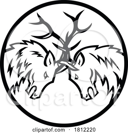 Bull Elk or Wapiti in Fighting in Rut Circle Mascot Retro by patrimonio