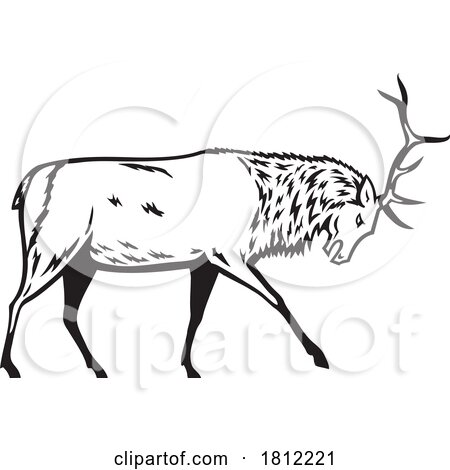 Bull Elk or Wapiti in Fighting Stance Side View Mascot Retro by patrimonio