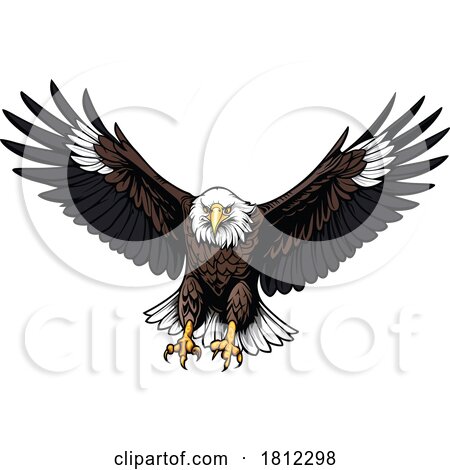 Flying Bald Eagle by dero