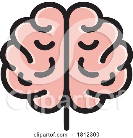 Anatomical Brain by Lal Perera