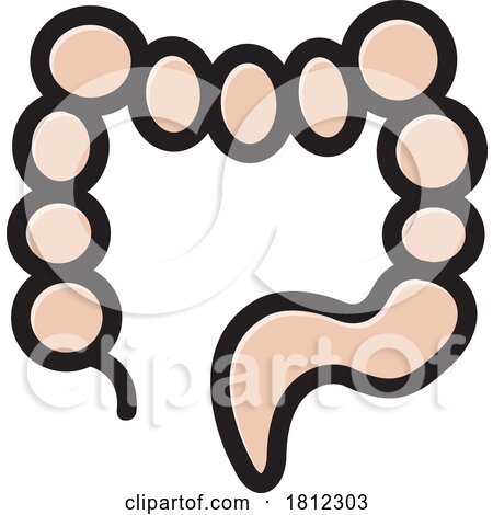 Anatomical Intestines by Lal Perera