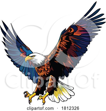 Flying Bald Eagle by dero