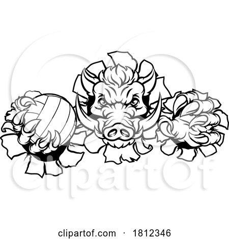 Boar Razorback Hog Volleyball Volley Ball Mascot by AtStockIllustration