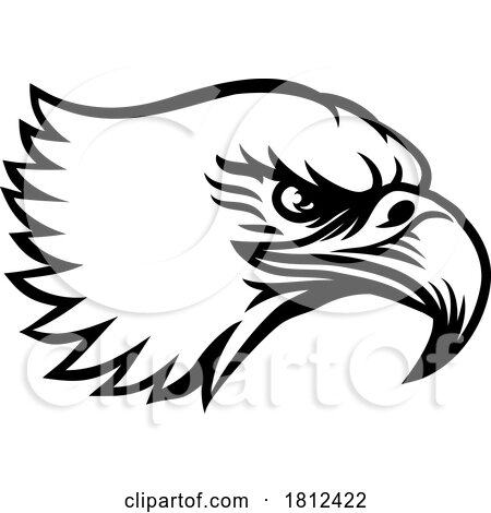 Bald Eagle Hawk Falcon Face Head Mascot Bird by AtStockIllustration