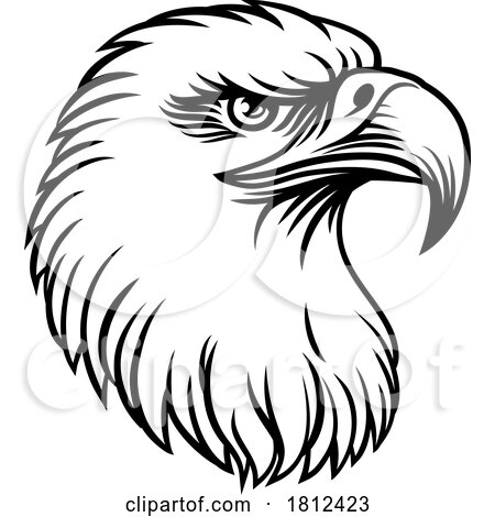 Bald Eagle Hawk Falcon Face Head Mascot Bird by AtStockIllustration