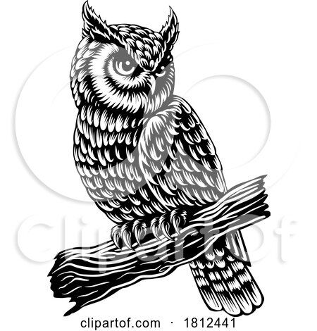 Owl Mascot Bird on Branch Animal Illustration by AtStockIllustration