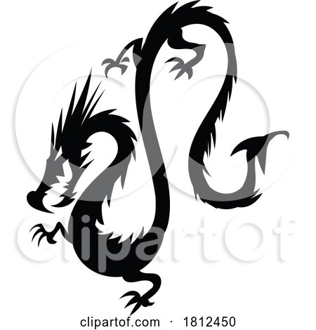 Black and White Dragon by Domenico Condello