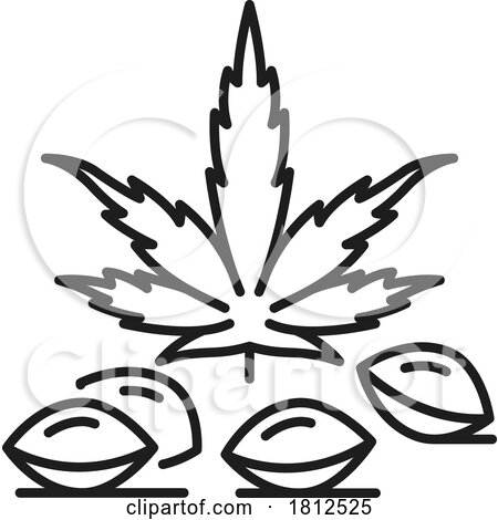 Cannabis Leaf by Vector Tradition SM