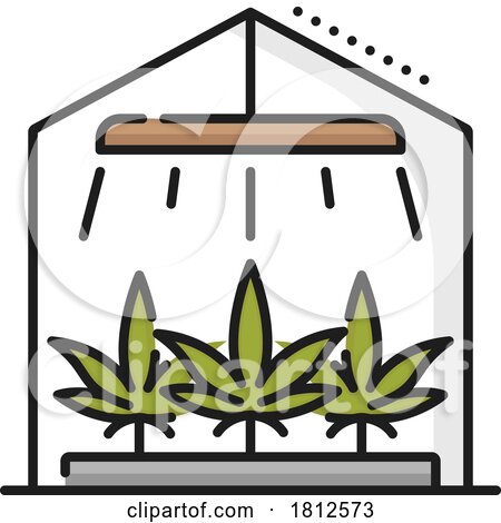 Cannabis Growth by Vector Tradition SM