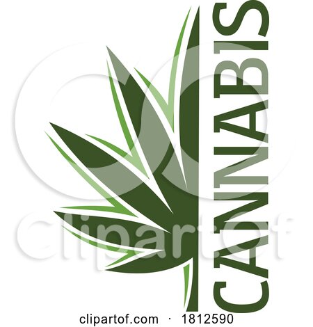 Cannabis Leaf by Vector Tradition SM