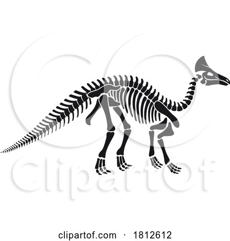 Olorotitan Dinosaur Skeleton by Vector Tradition SM