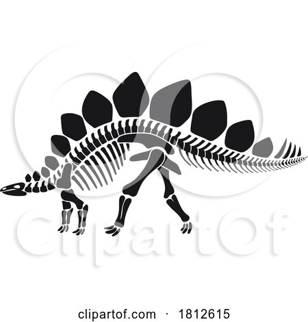 Stegosaurus Dinosaur Skeleton by Vector Tradition SM