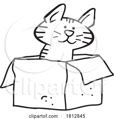 Cartoon Cat Sitting in a Box by Johnny Sajem