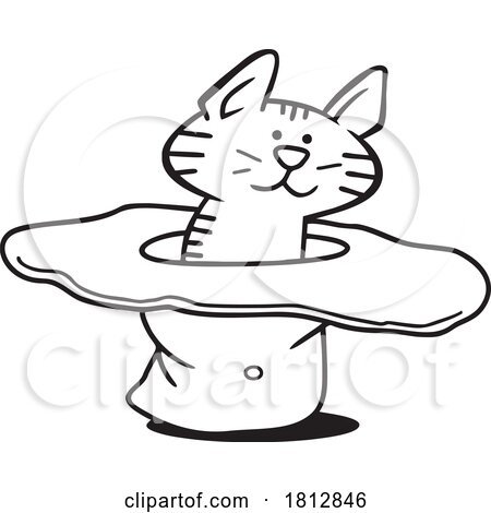 Cartoon Cat Sitting in a Hat by Johnny Sajem