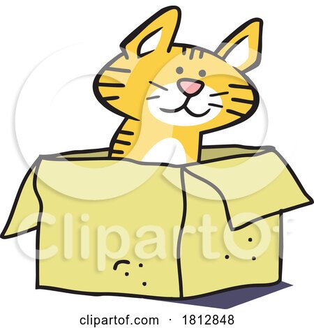 Cartoon Cat Sitting in a Box by Johnny Sajem