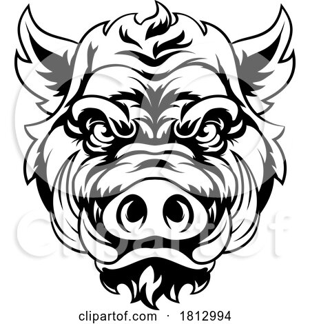 Boar Wild Hog Razorback Warthog Mascot Pig Cartoon by AtStockIllustration