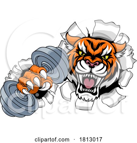 Tiger Weight Lifting Dumbbell Gym Animal Mascot by AtStockIllustration