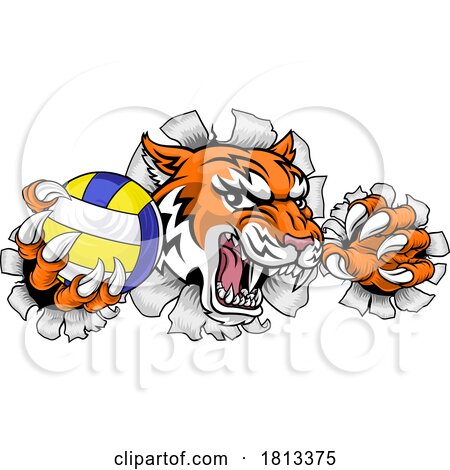 Tiger Volleyball Volley Ball Animal Sports Mascot by AtStockIllustration