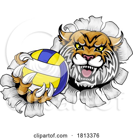 Wildcat Cougar Lynx Lion Volleyball Claw Mascot by AtStockIllustration