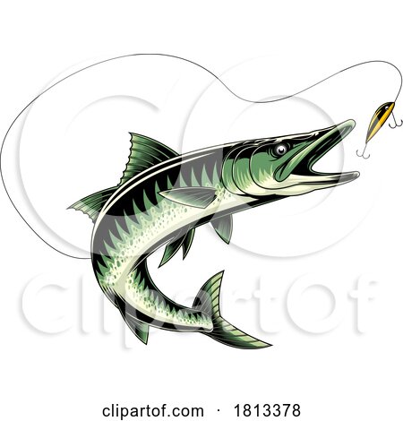 Barracuda Chasing a Lure Licensed Cartoon Clipart by Hit Toon