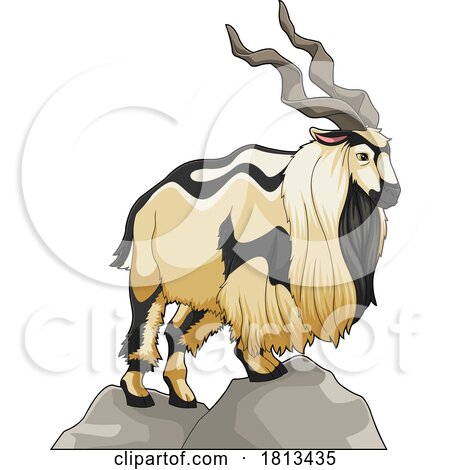 Markhor Licensed Cartoon Clipart by Hit Toon